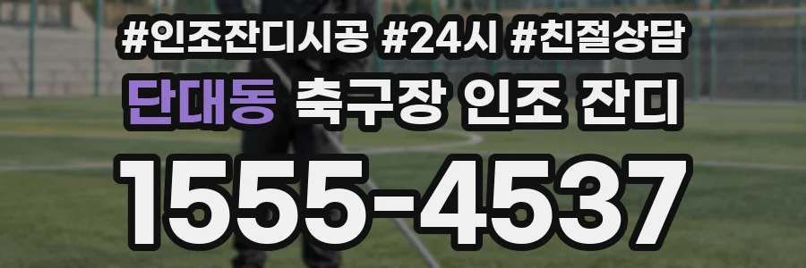 단대동 축구장 인조 잔디