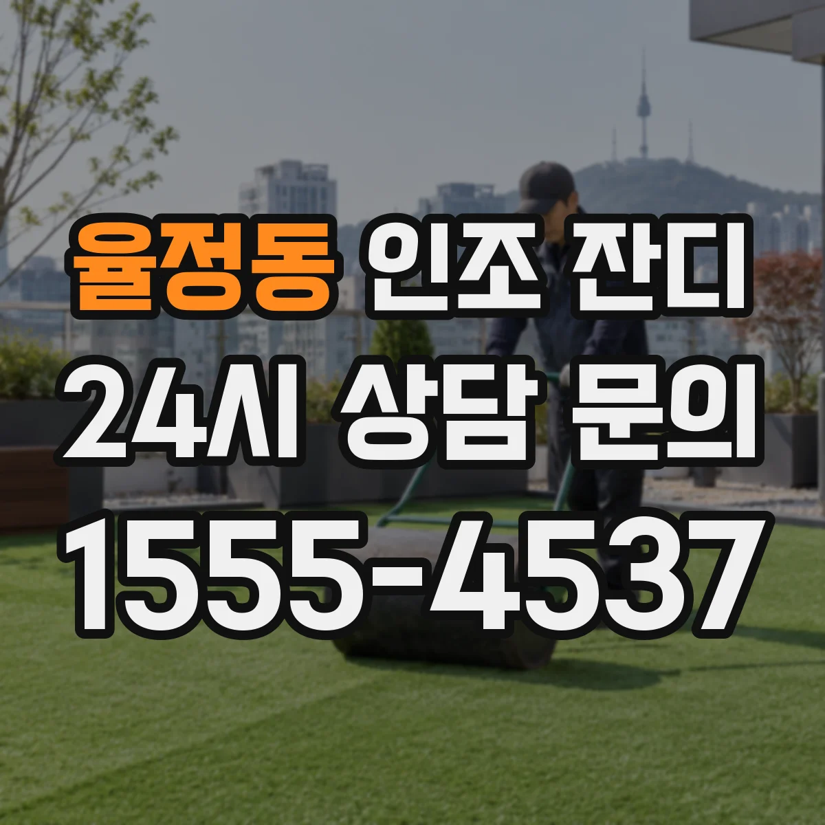 율정동 인조 잔디