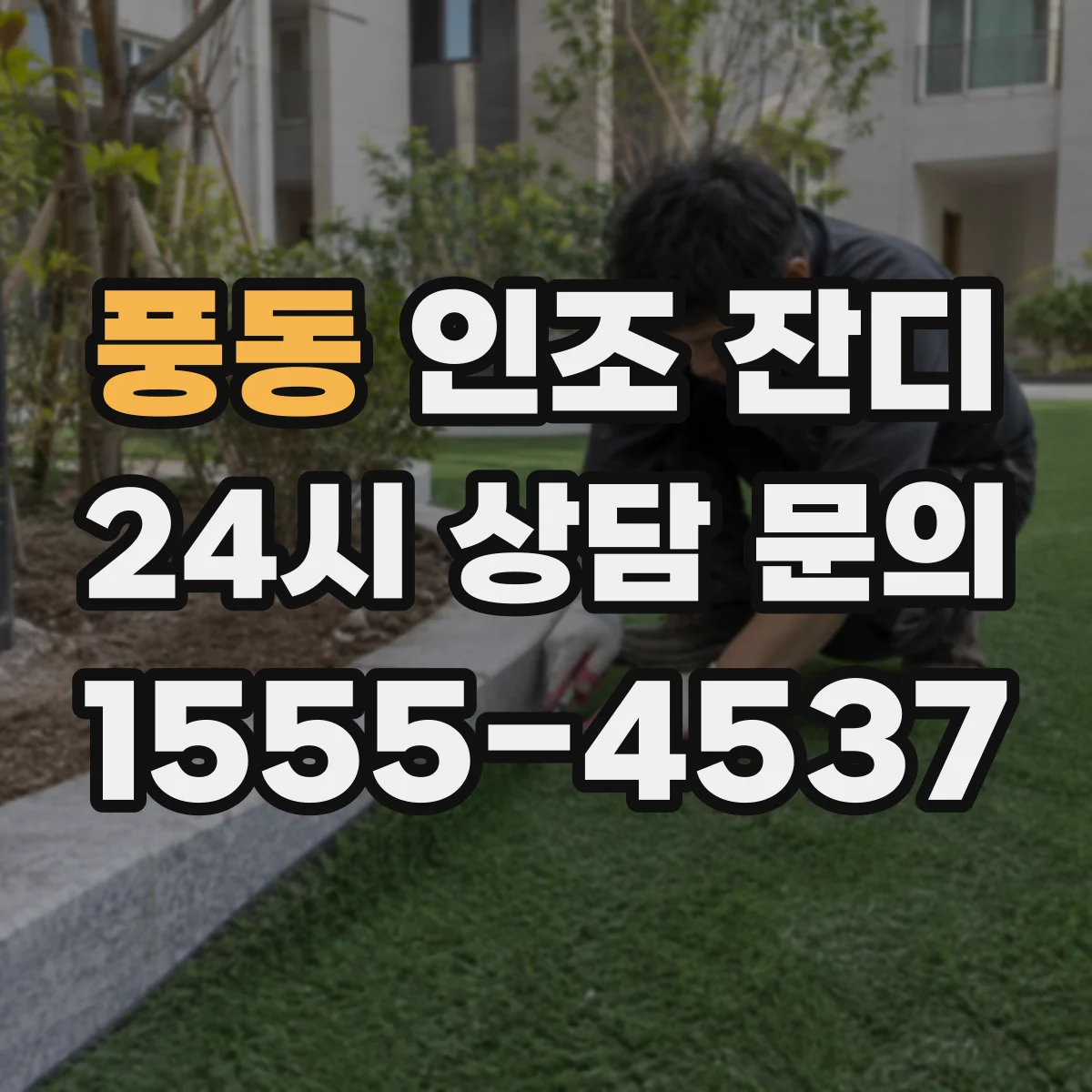 풍동 인조 잔디