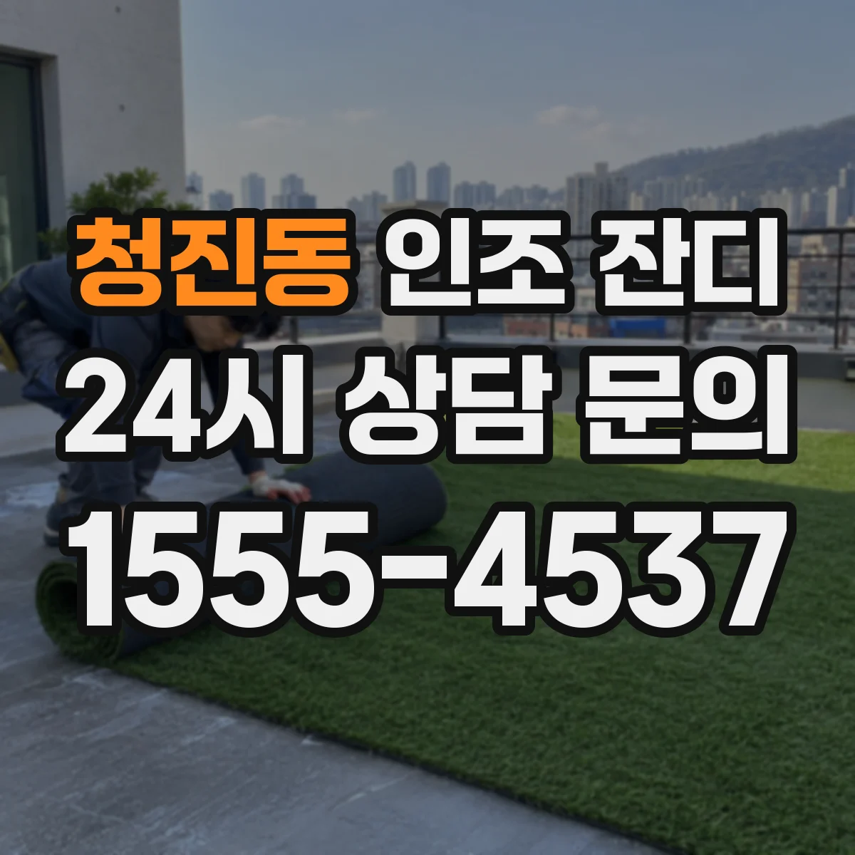 청진동 인조 잔디