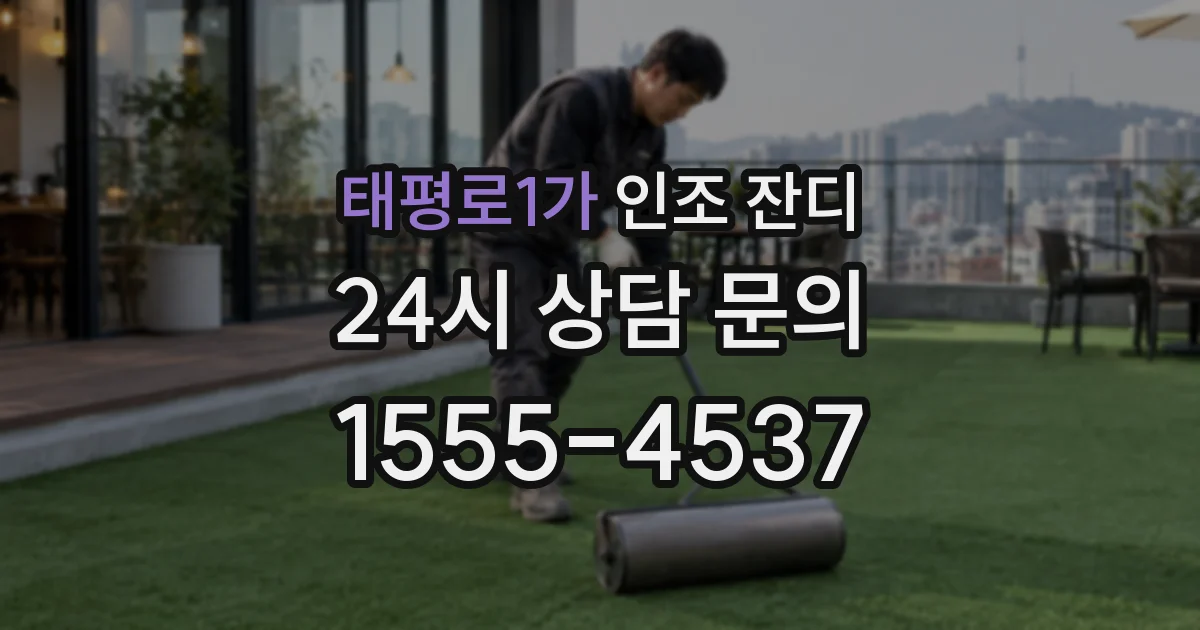 태평로1가 인조 잔디