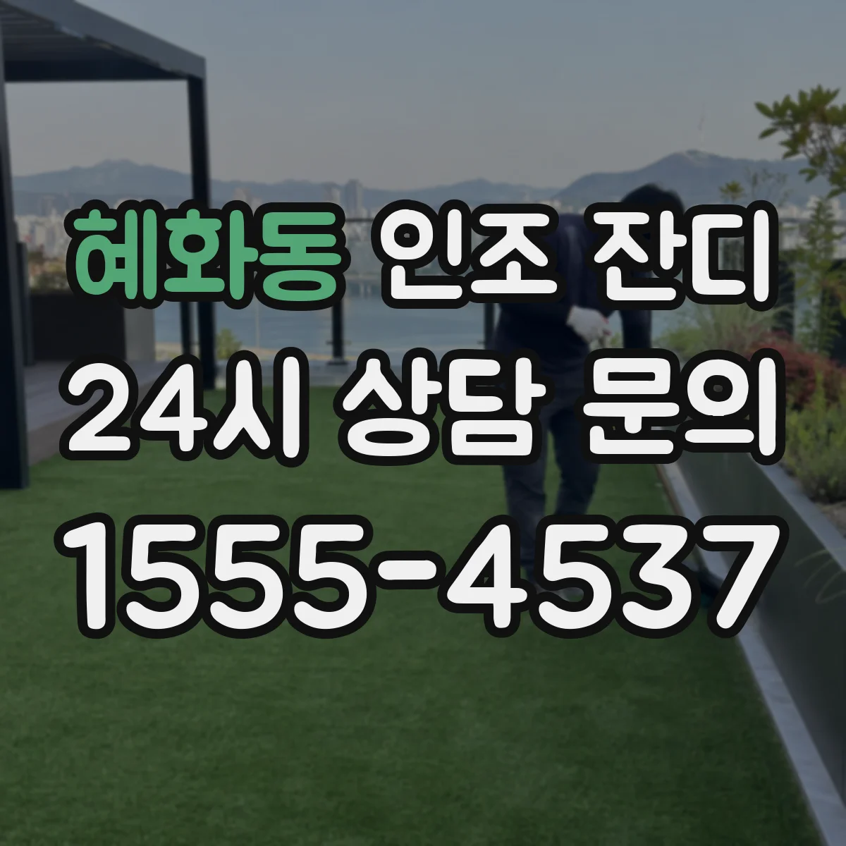 혜화동 인조 잔디