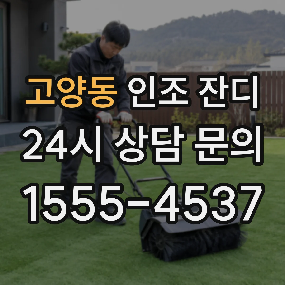 고양동 인조 잔디