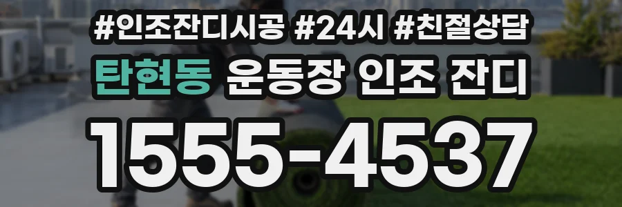 탄현동 운동장 인조 잔디