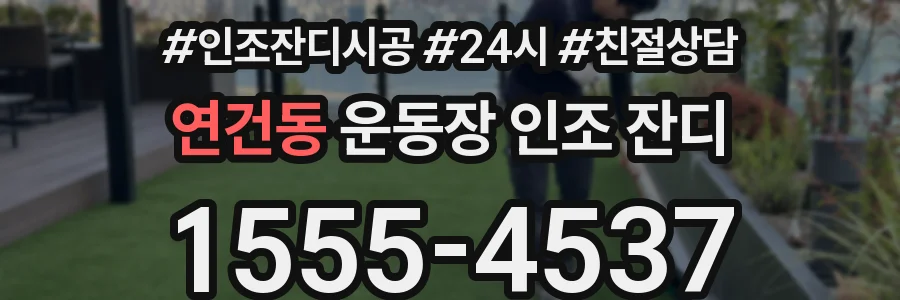 연건동 운동장 인조 잔디