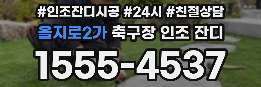 을지로2가 축구장 인조 잔디