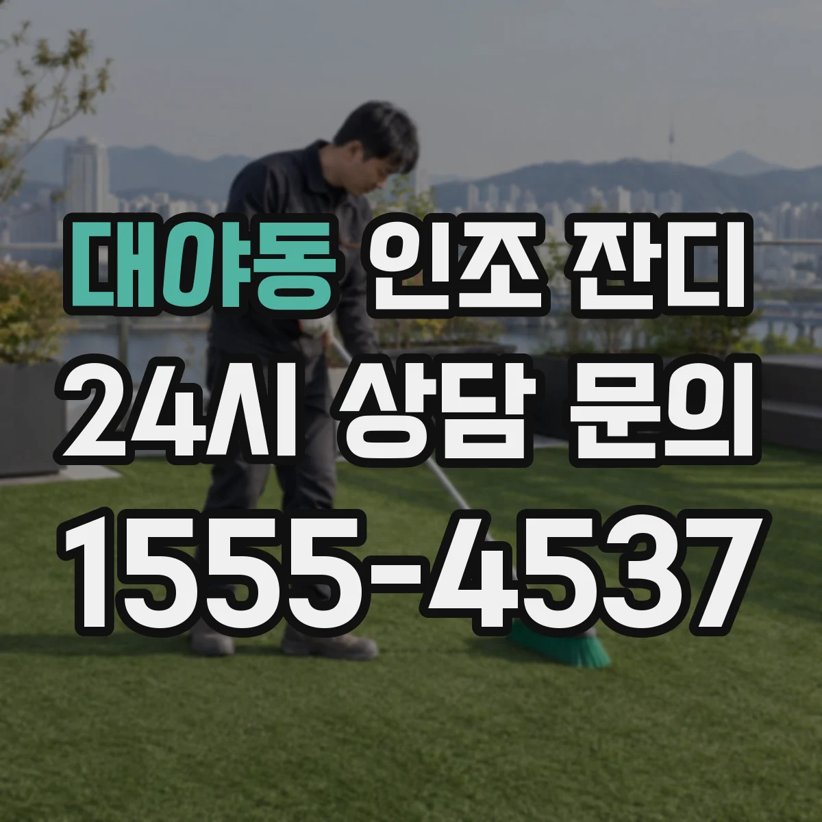 대야동 인조 잔디
