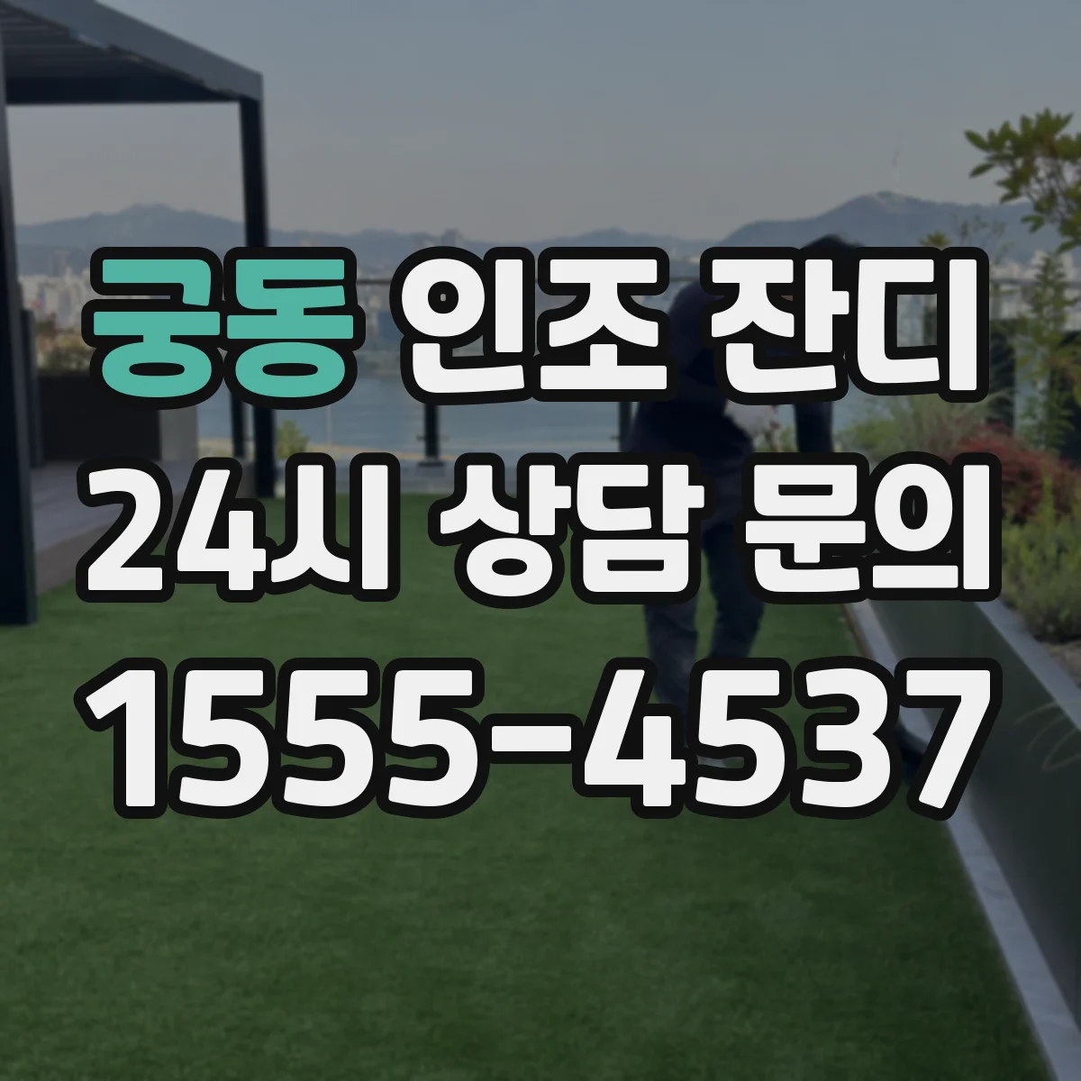 궁동 인조 잔디