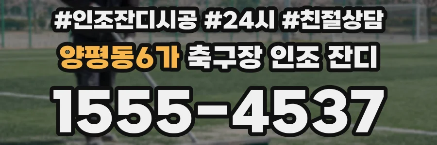 양평동6가 축구장 인조 잔디