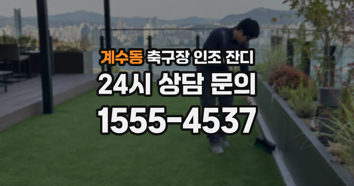 계수동 축구장 인조 잔디