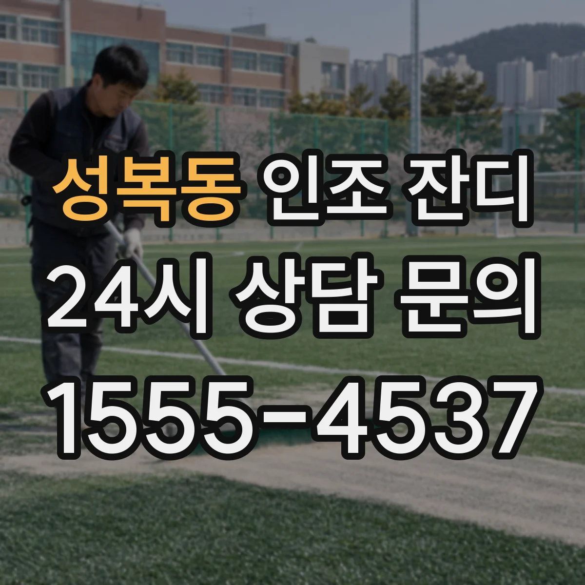 성복동 인조 잔디