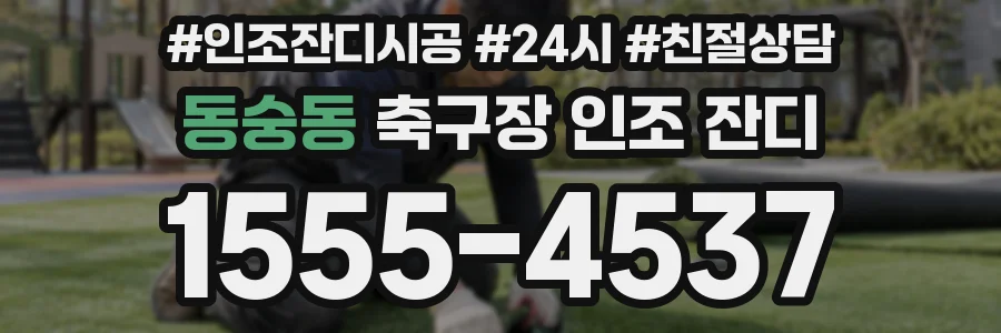 동숭동 축구장 인조 잔디