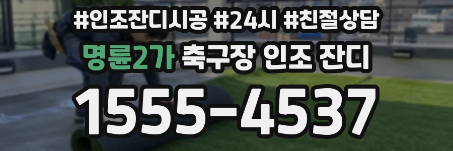 명륜2가 축구장 인조 잔디