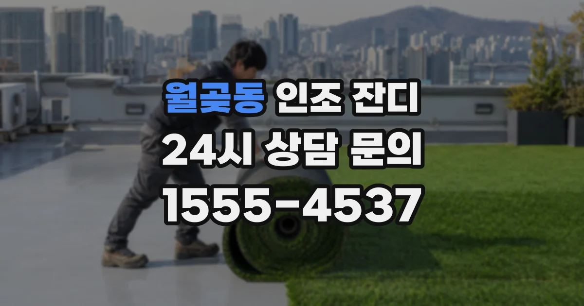 월곶동 인조 잔디