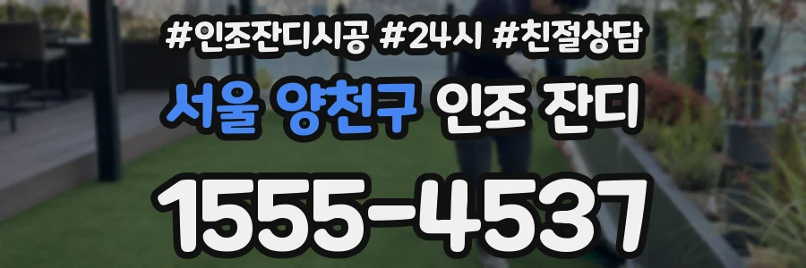 서울 양천구 인조 잔디