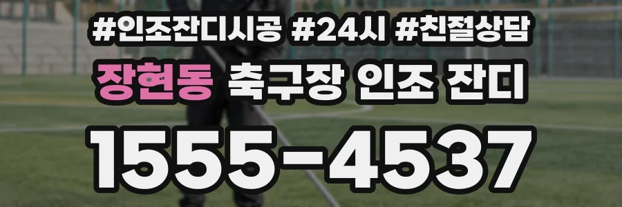 장현동 축구장 인조 잔디