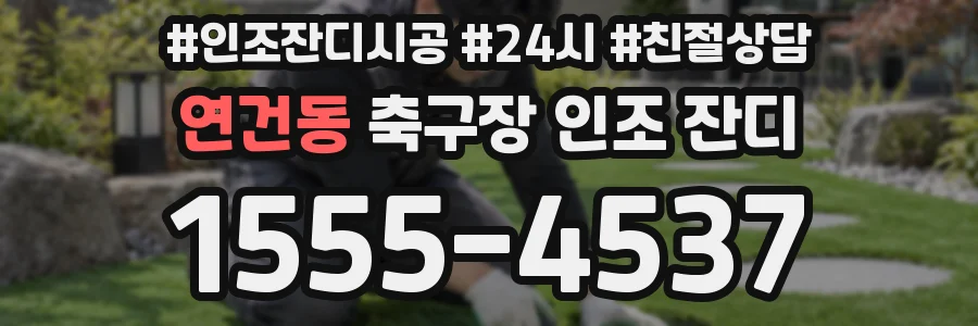 연건동 축구장 인조 잔디