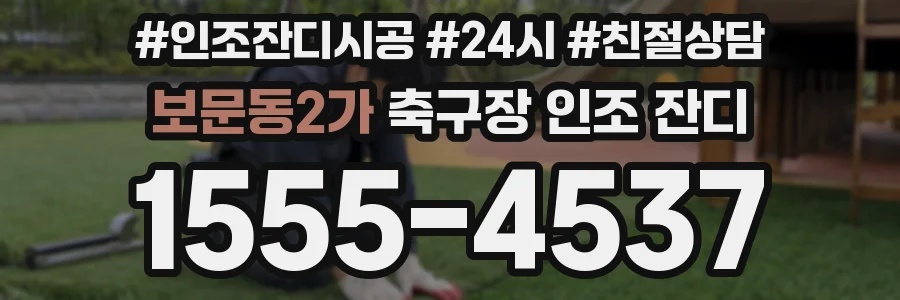 보문동2가 축구장 인조 잔디