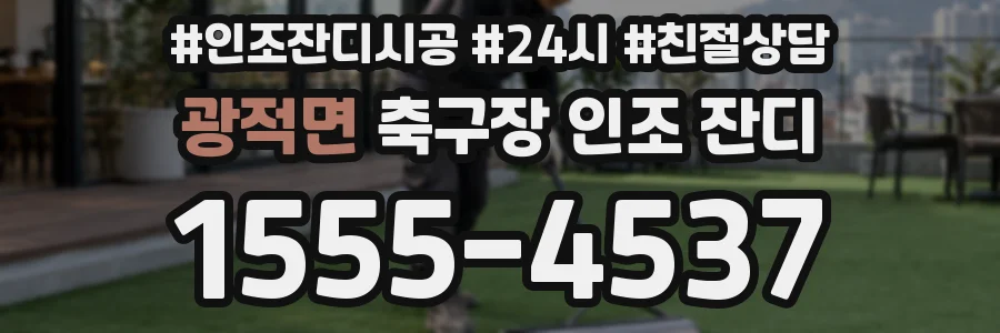 광적면 축구장 인조 잔디
