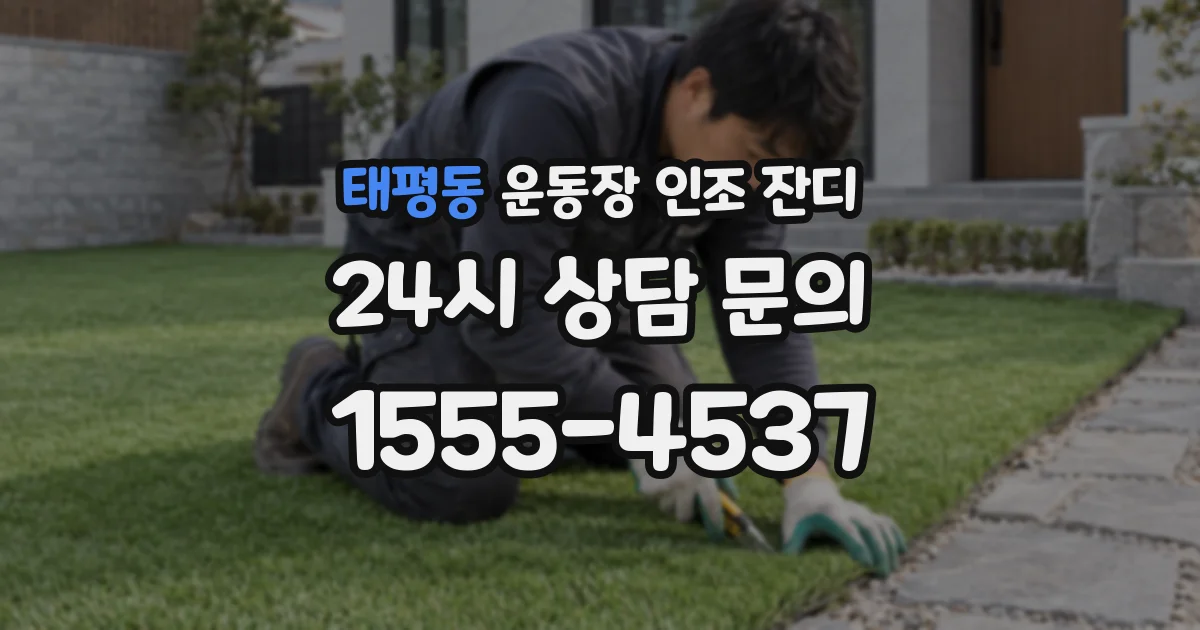 태평동 운동장 인조 잔디