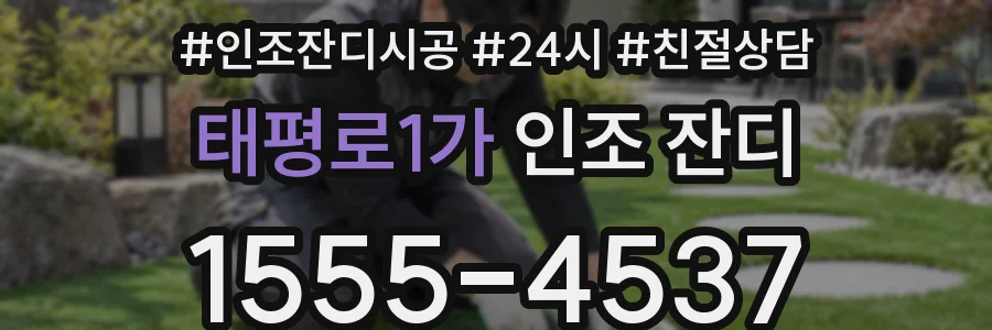 태평로1가 인조 잔디