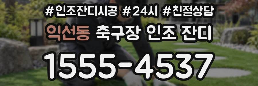익선동 축구장 인조 잔디