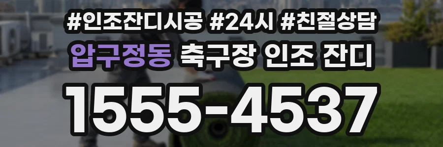 압구정동 축구장 인조 잔디