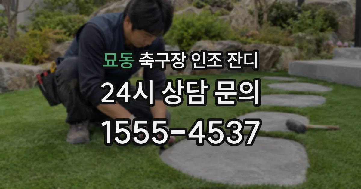 묘동 축구장 인조 잔디