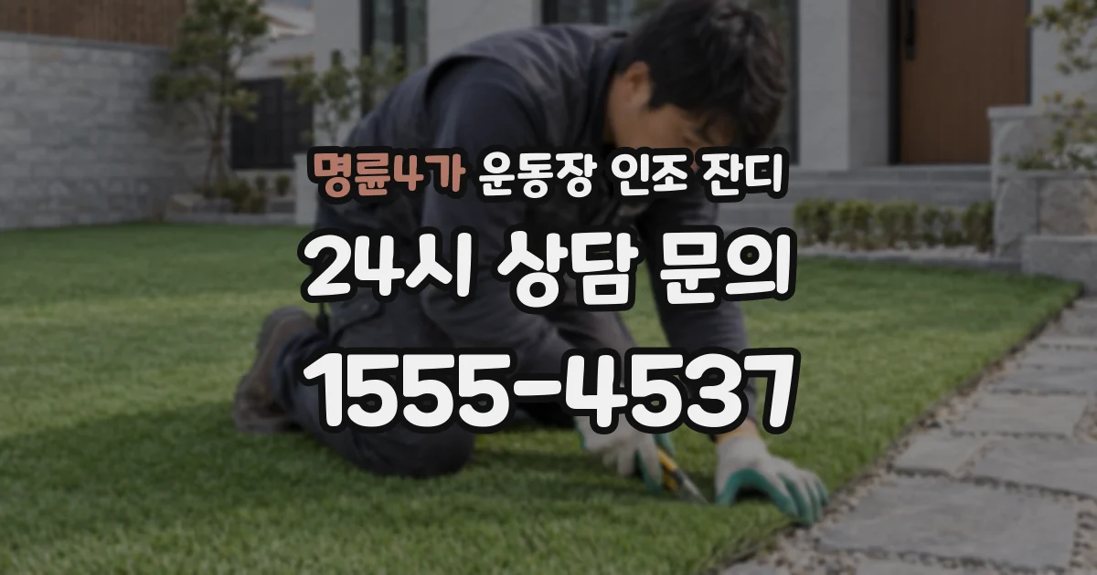 명륜4가 운동장 인조 잔디