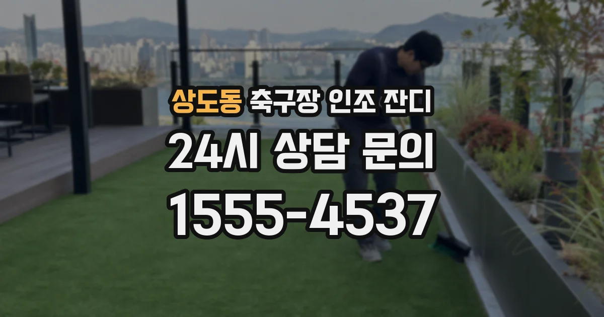 상도동 축구장 인조 잔디
