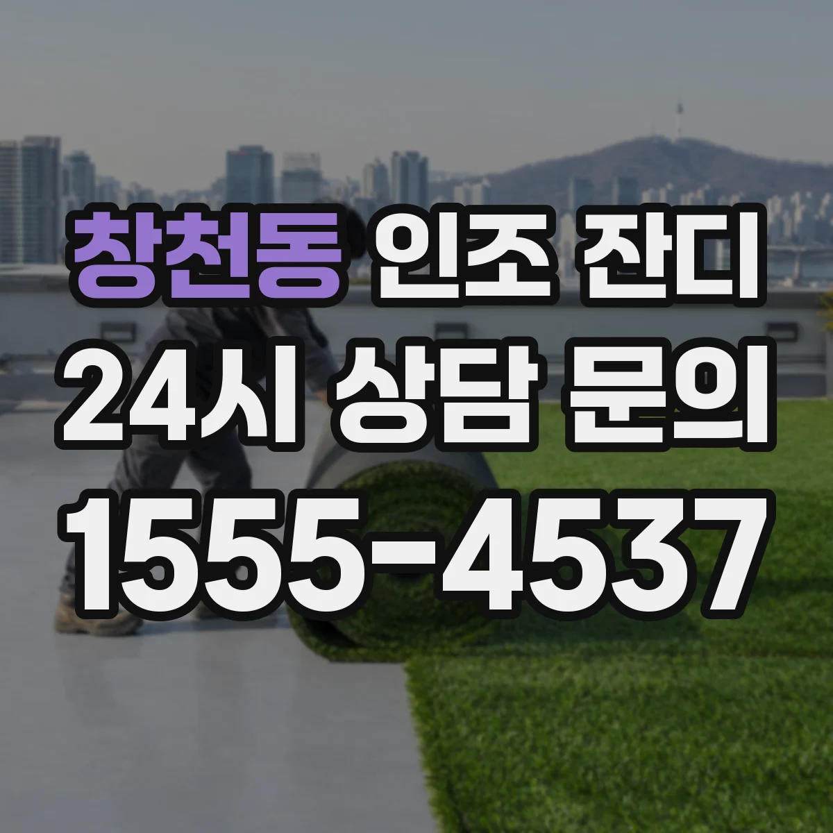 창천동 인조 잔디