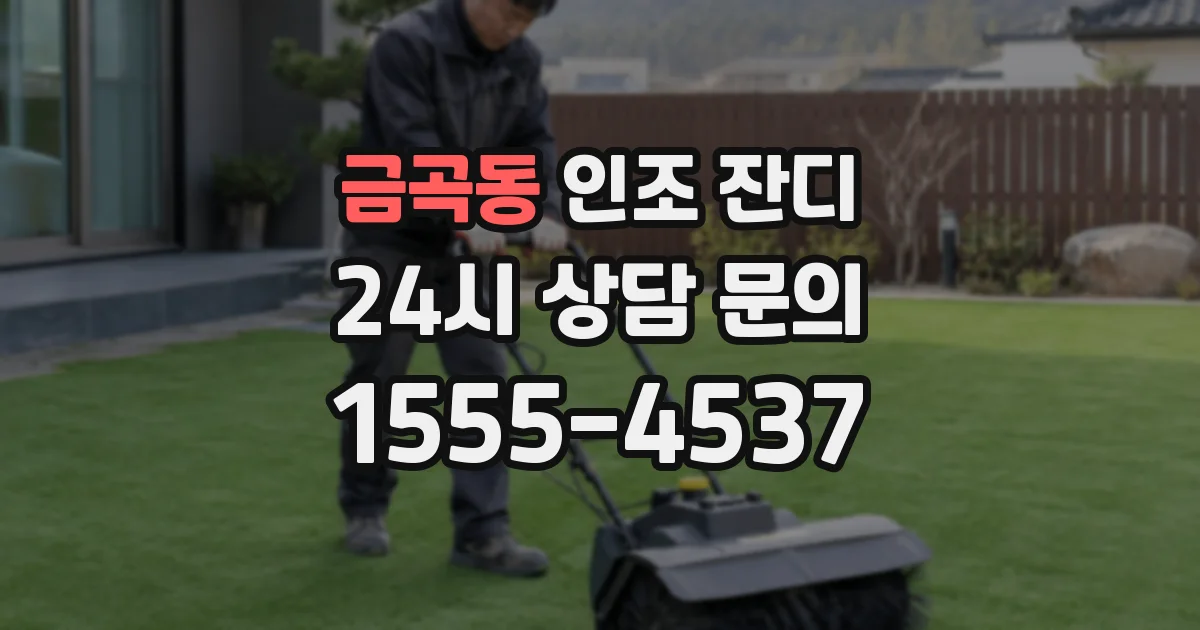 금곡동 인조 잔디