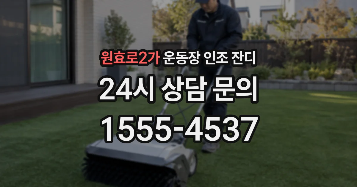 원효로2가 운동장 인조 잔디