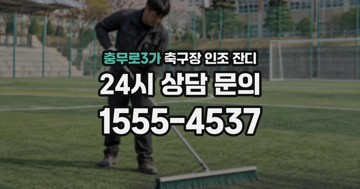충무로3가 축구장 인조 잔디