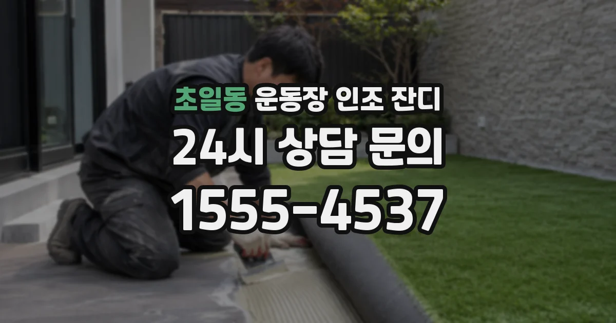 초일동 운동장 인조 잔디