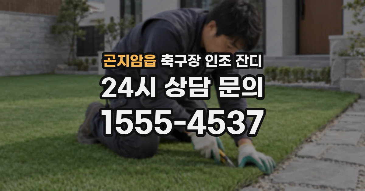 곤지암읍 축구장 인조 잔디