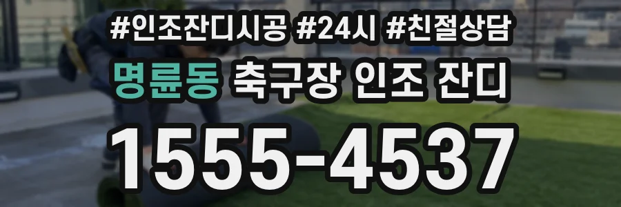 명륜동 축구장 인조 잔디
