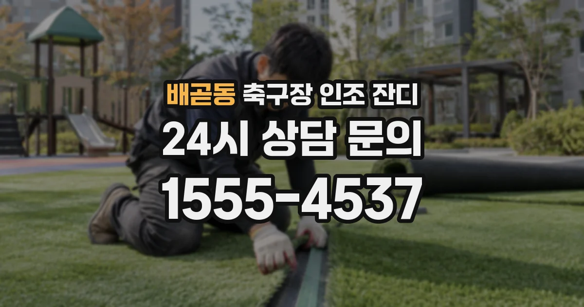 배곧동 축구장 인조 잔디