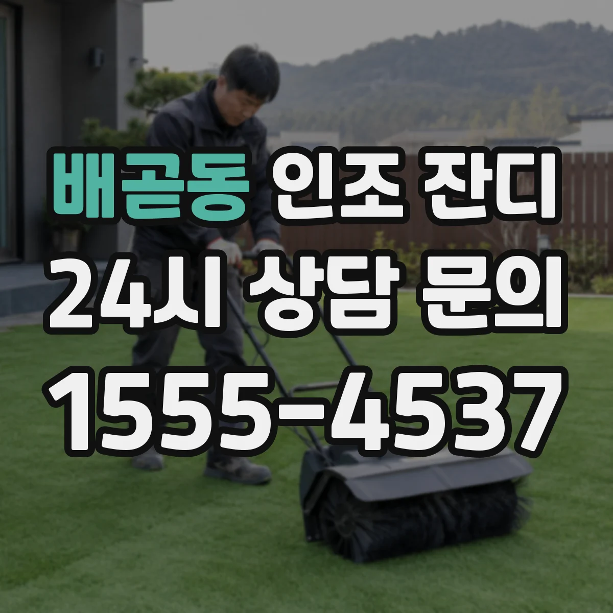 배곧동 인조 잔디