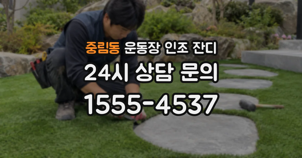중림동 운동장 인조 잔디