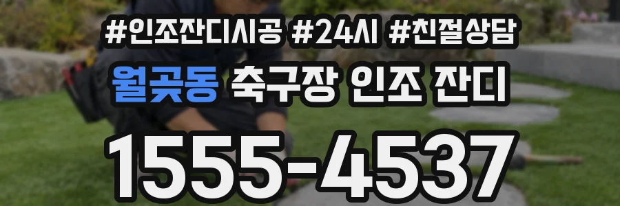 월곶동 축구장 인조 잔디