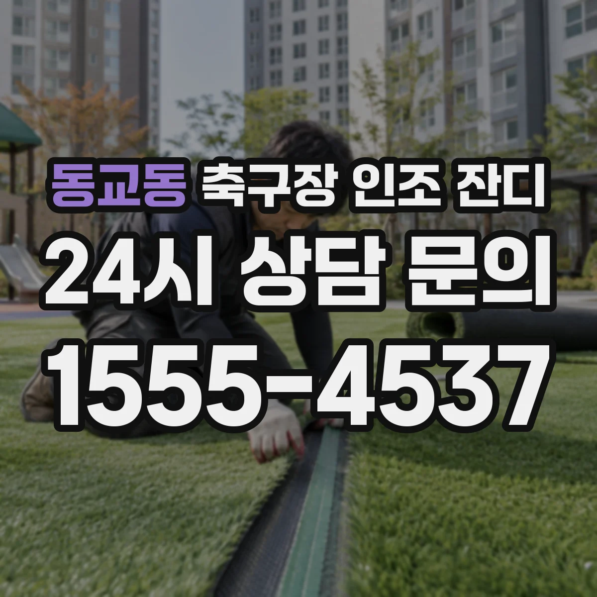 동교동 축구장 인조 잔디