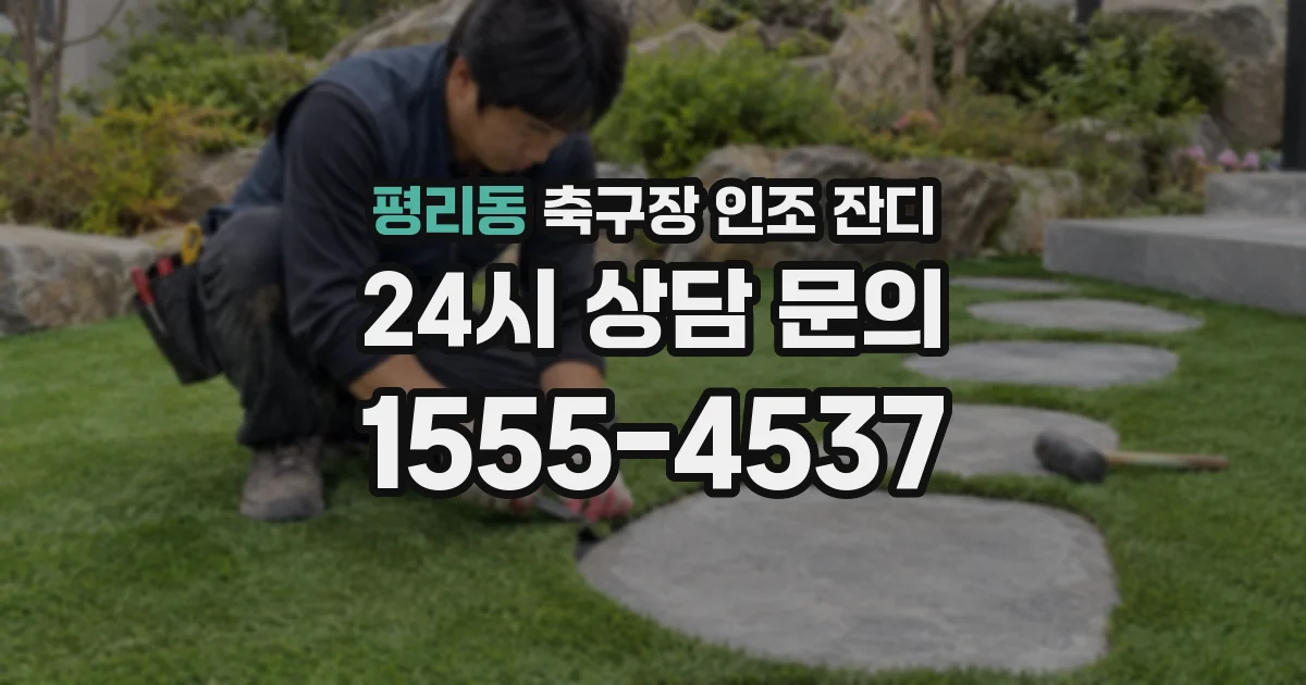평리동 축구장 인조 잔디