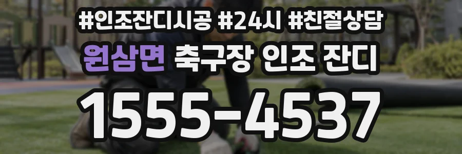 원삼면 축구장 인조 잔디