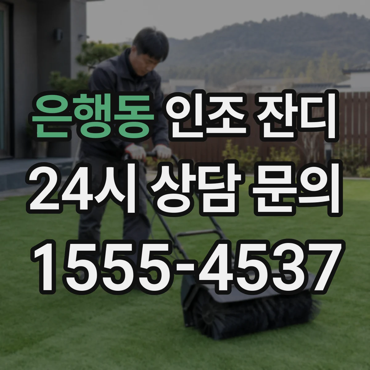은행동 인조 잔디