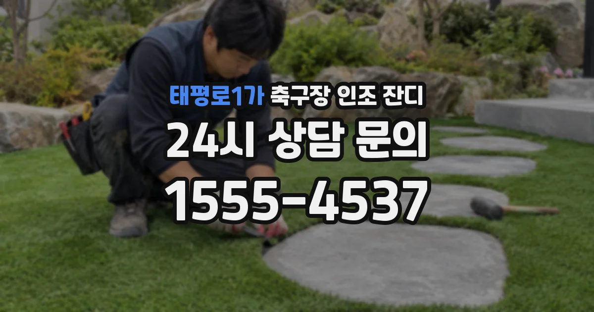 태평로1가 축구장 인조 잔디