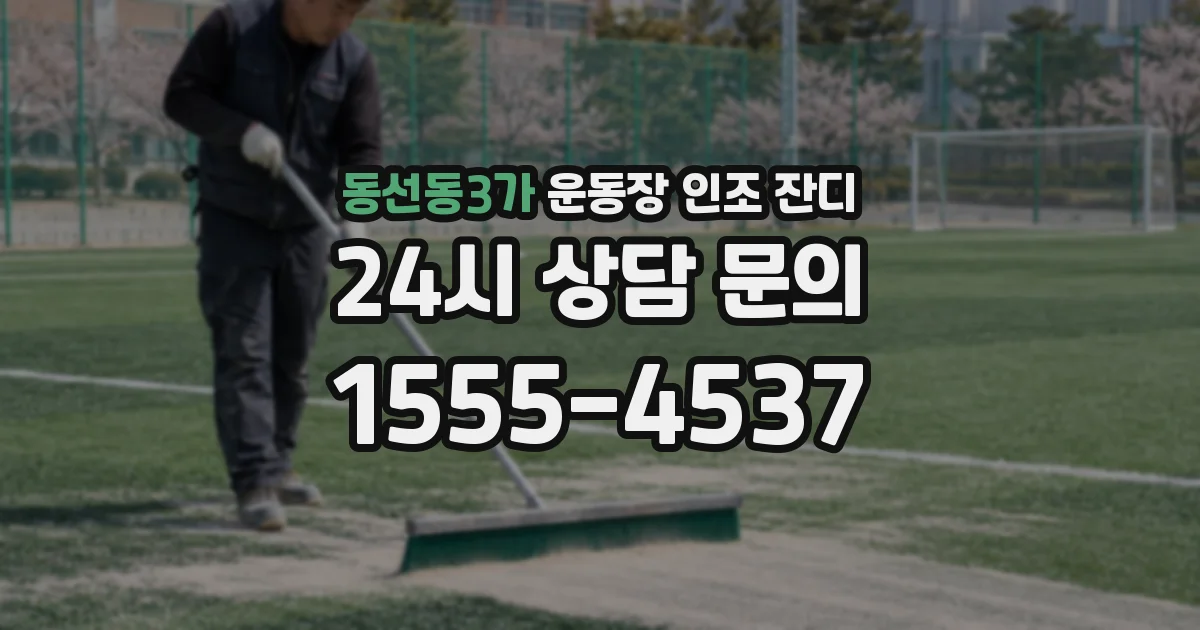 동선동3가 운동장 인조 잔디