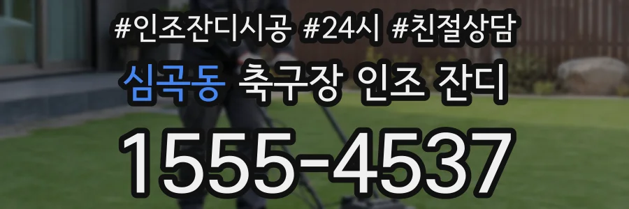 심곡동 축구장 인조 잔디