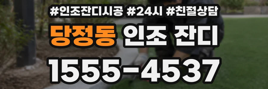 당정동 인조 잔디