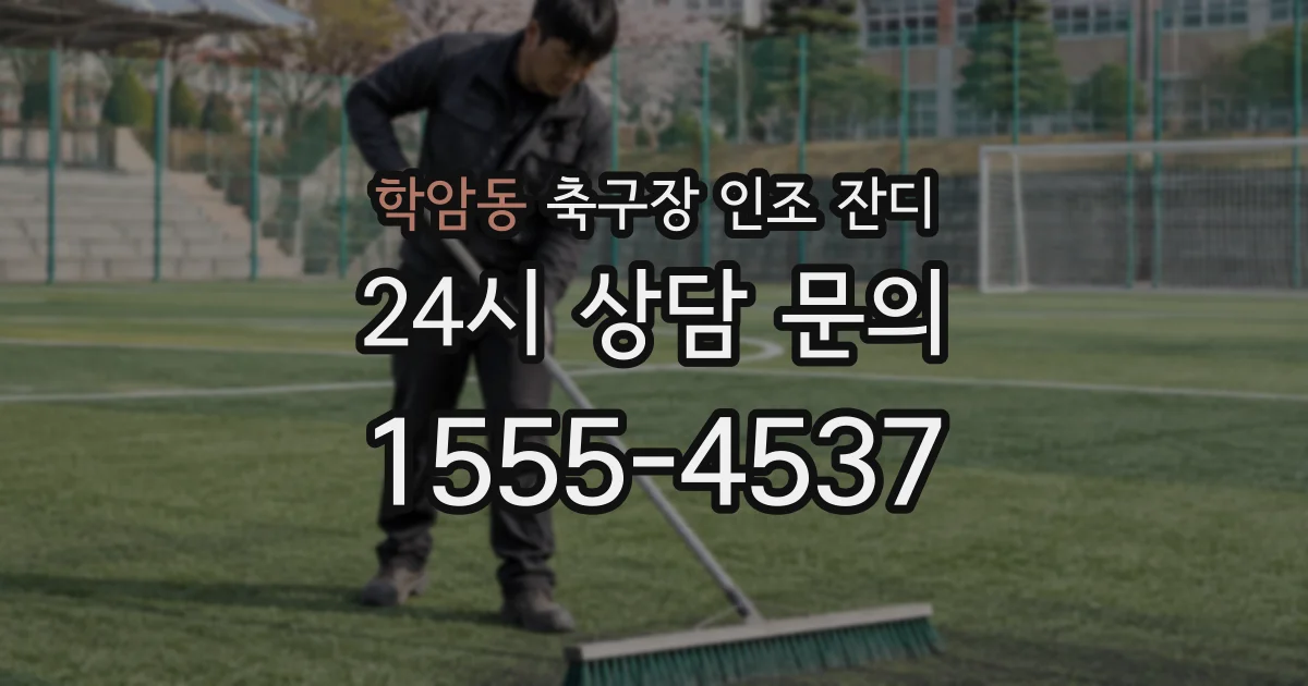 학암동 축구장 인조 잔디